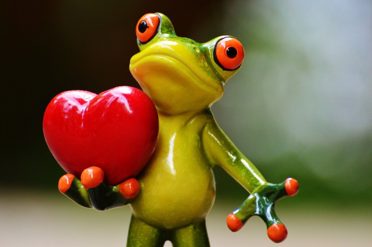 300+ Valentines Jokes And Riddles for Heartfelt Laughter